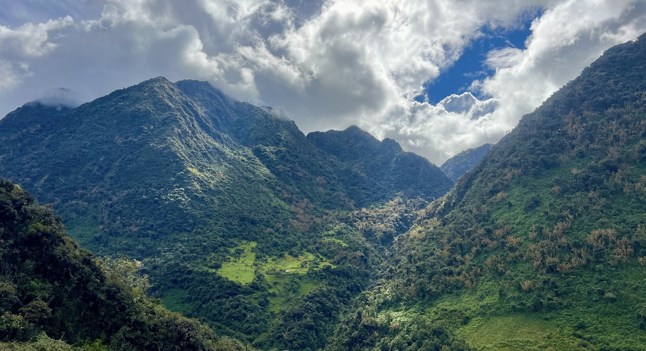 high-altitude coffees - coffee-producing mountains